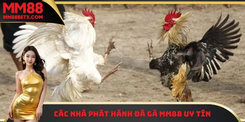 Đá Gà MM88 - Theo Dõi Từng Cú Đá Quyết Liệt Và Gay Cấn 2 Các nhà phát hành đá gà MM88 uy tín