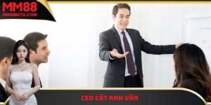CEO Cát Anh Văn